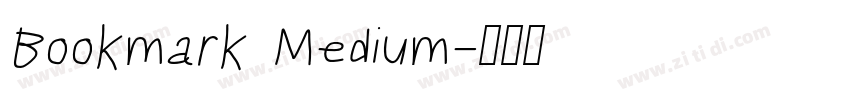 Bookmark Medium字体转换